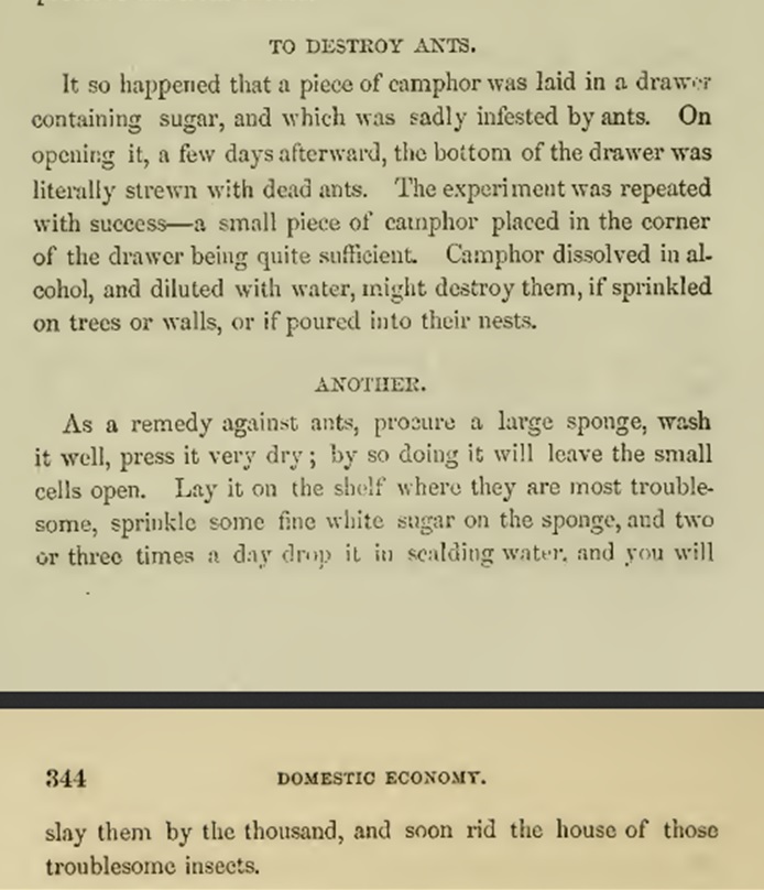 To destroy ants 1850s
