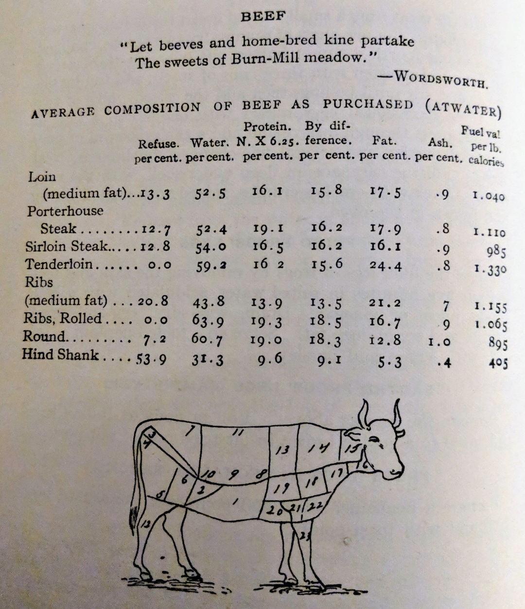 Cuts of beef 1902