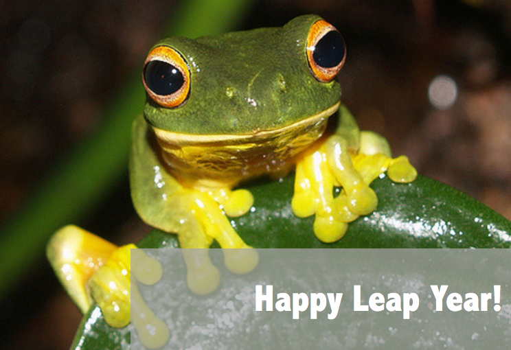 Leap year frog